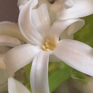 Meet your Posher, Stacy