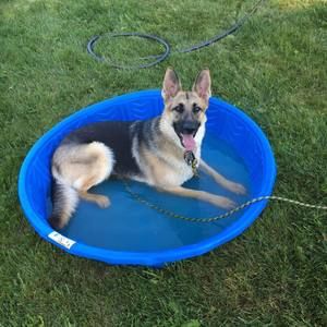 Meet your Posher, Shari