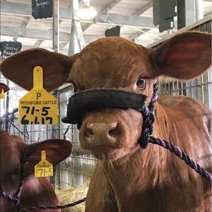 Meet your Posher, Emma