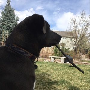 Meet your Posher, Spenser