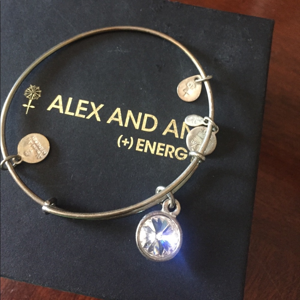 ALEX AND ANI