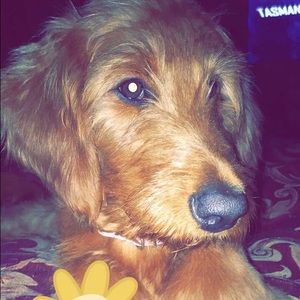 Meet your Posher, Brittany