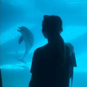 Meet your Posher, Jackie