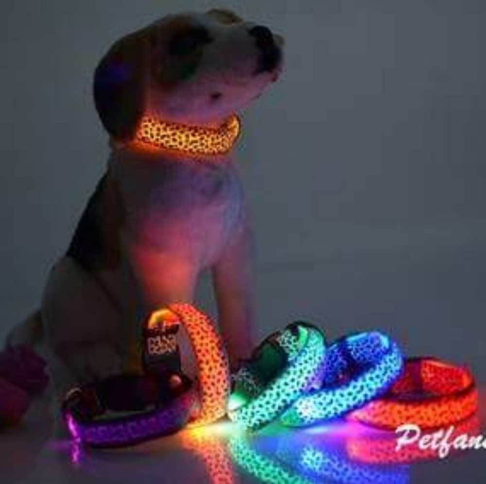 Dog Adustable multi color collar