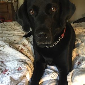 Meet your Posher, Carol