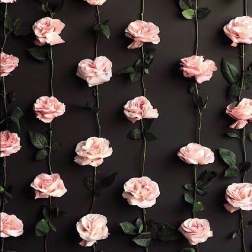 Meet your Posher, Rachel