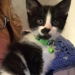 Meet your Posher, Michele