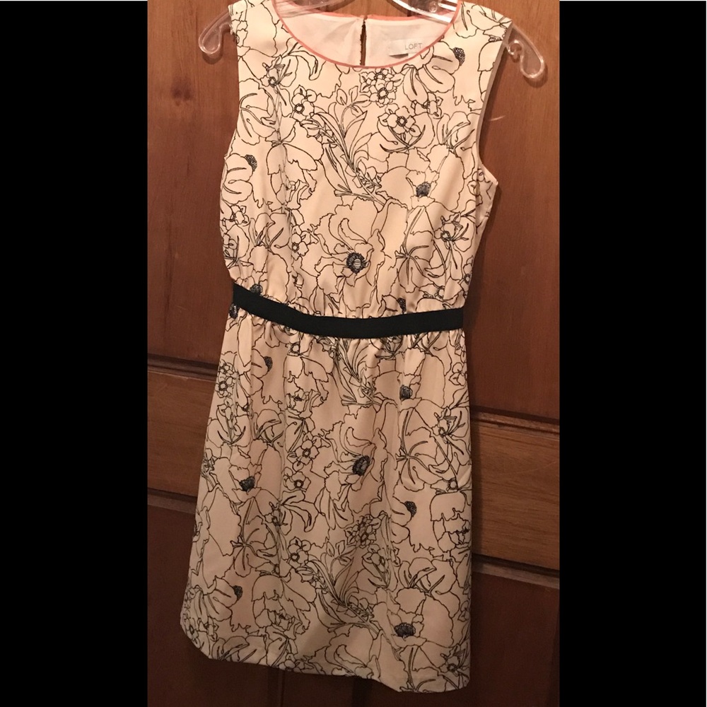 Ann Taylor Loft Dress