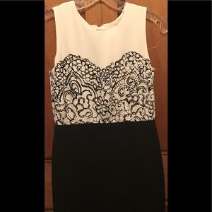 Ann Taylor Loft Dress