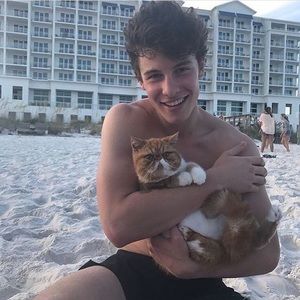 Meet your Posher, Camille