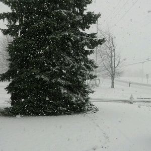 Meet your Posher, Veronica