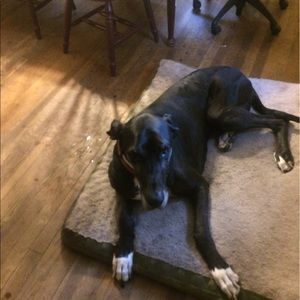 Meet your Posher, Joann