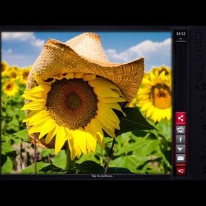 Meet your Posher, Joann