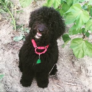 Meet your Posher, Anna