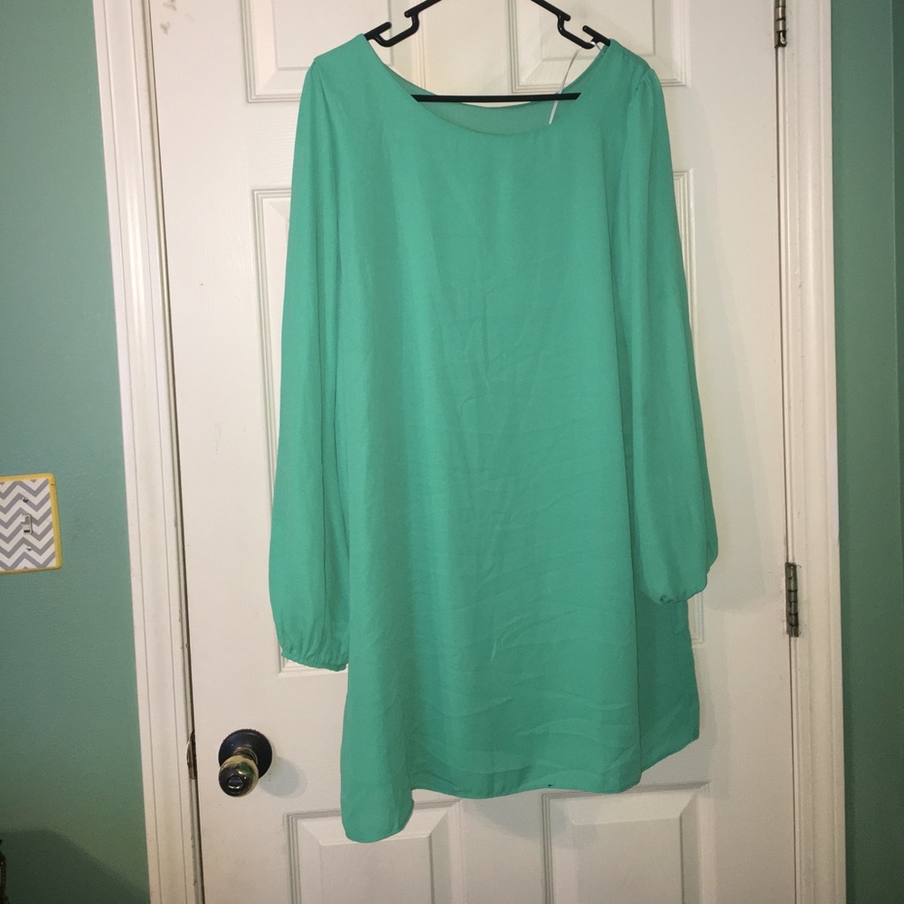 Long sleeve, sheer polyester, dress