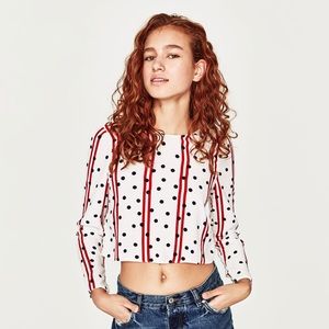 Zara Trafaluc Collection Open Back Top