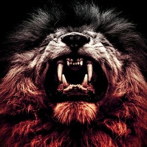 Meet your Posher, Paul