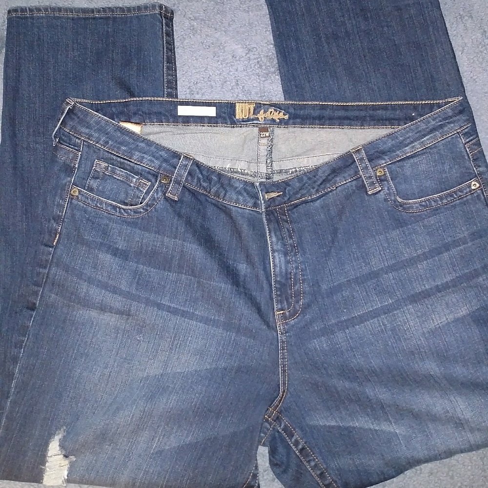 Plus Size Distressed Jeans