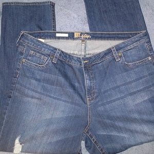 Plus Size Distressed Jeans