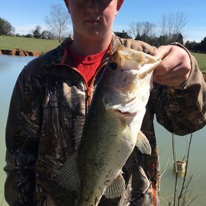 Meet your Posher, Seth