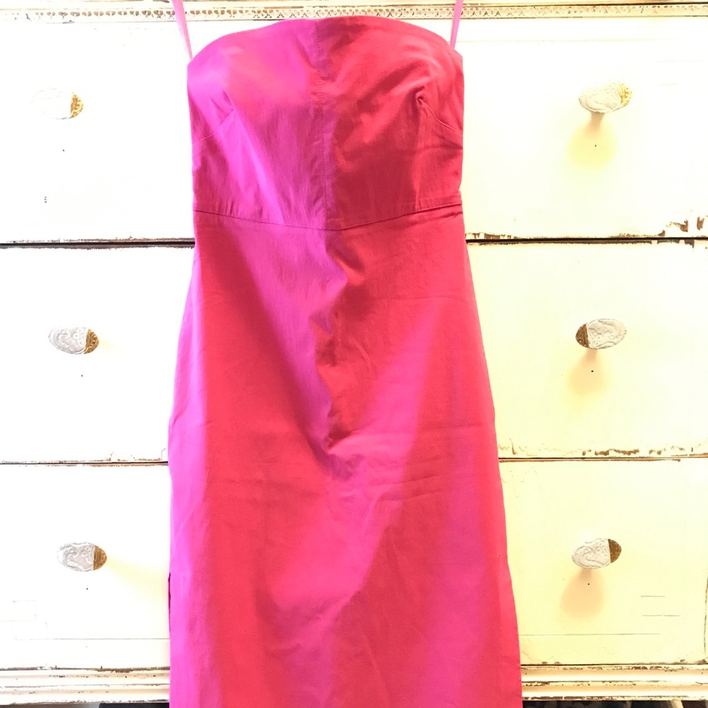 Express Pink Dress