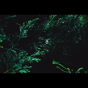 Meet your Posher, Malory