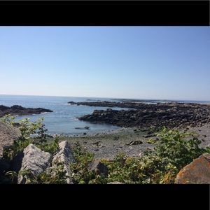 Meet your Posher, Elena