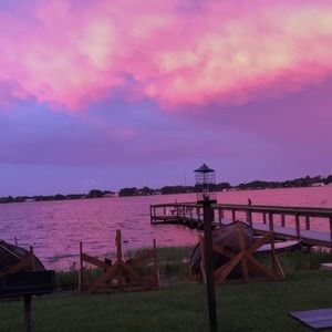 Meet your Posher, Daisy