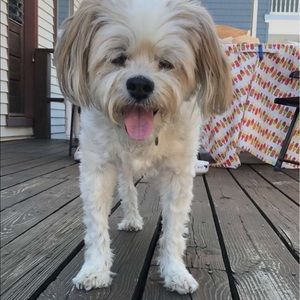 Meet your Posher, Samiah