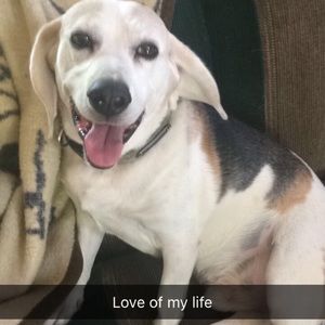 Meet your Posher, Camille