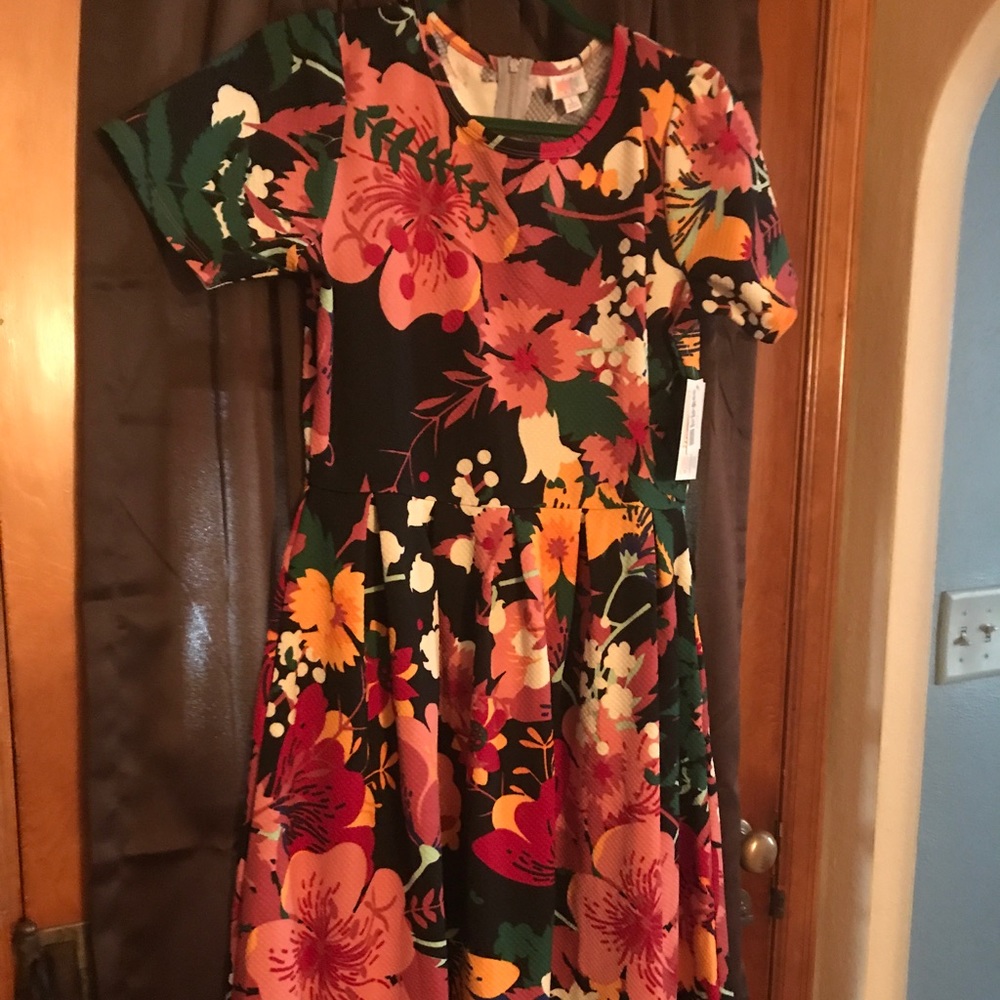NWT super cute Lularoe Amelia dress!