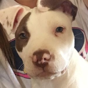 Meet your Posher, Elberta