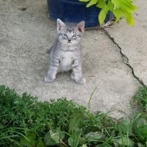 Meet your Posher, Marcus