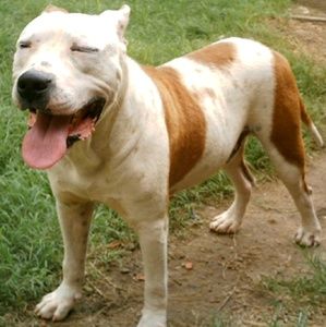 Meet your Posher, Nathaniel