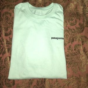 teal patagonia shirt