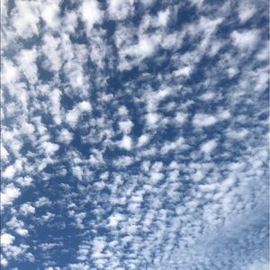 Meet your Posher, Rayme