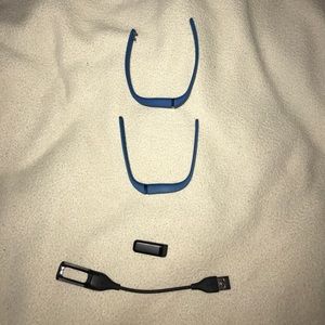 Fitbit Flex