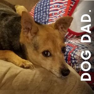 Meet your Posher, Shane