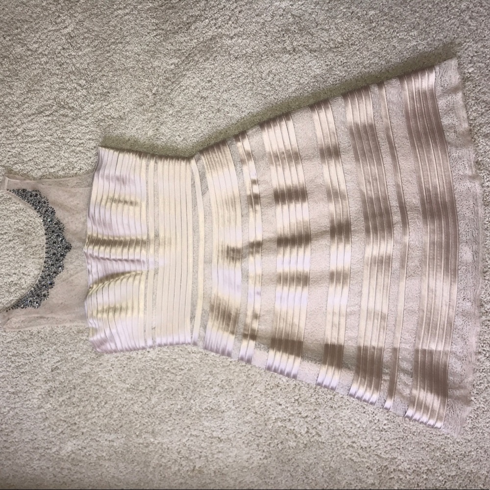 BCBG nude skater dress