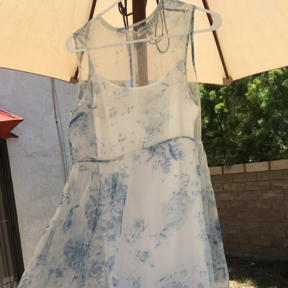 Anthropologie Rose printed dress