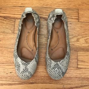gray snake skin flats