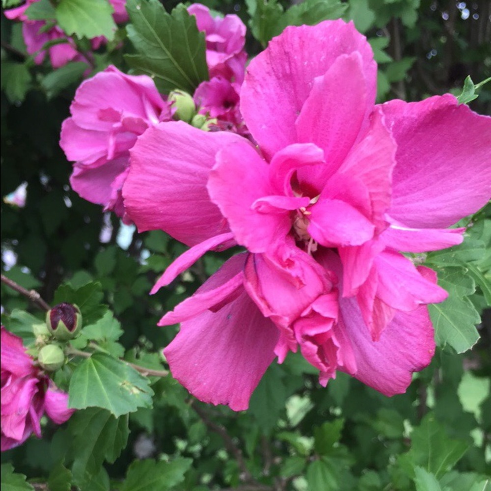 Meet your Posher, India