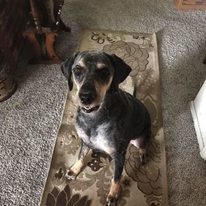 Meet your Posher, Connie