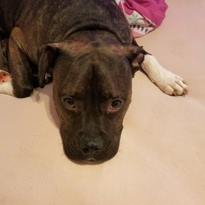 Meet your Posher, Imani