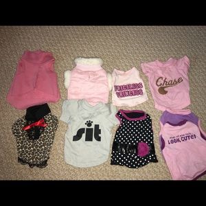 Teacup dog shirts. SOLD OUT