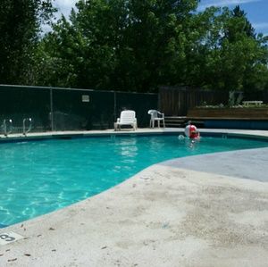 Meet your Posher, Barb