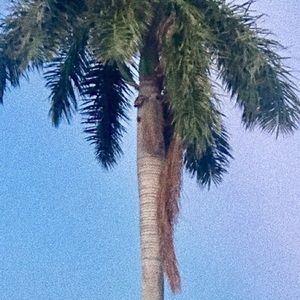 Meet your Posher, Vicky