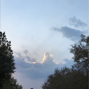 Meet your Posher, Ally