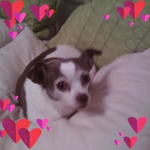 Meet your Posher, Jane