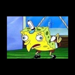 Meet your Posher, Sal